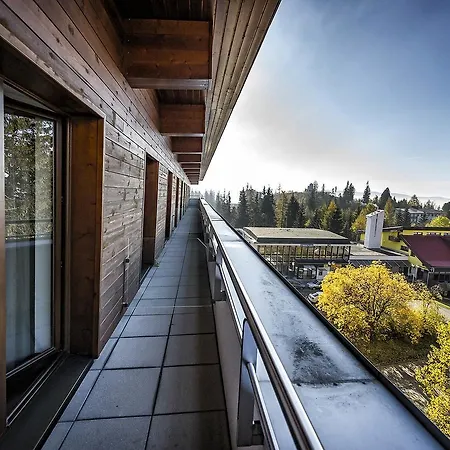 Crocus 310, 507 * Štrbské Pleso