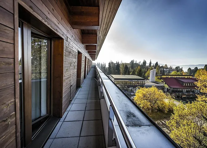 Crocus 310, 507 * Štrbské Pleso